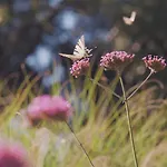 Podere La Gualda Vecchia Alloggi Di Charme Immersi Nel Giardino Emozionale Outdoor Monteverdi Marittimo