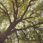 Podere La Gualda Vecchia Alloggi Di Charme Immersi Nel Giardino Emozionale Outdoor * Monteverdi Marittimo