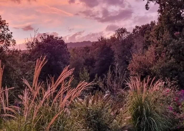 La Gualda Vecchia Alloggi Di Charme Immersi Nel Giardino Emozionale, Extra Outdoor *
