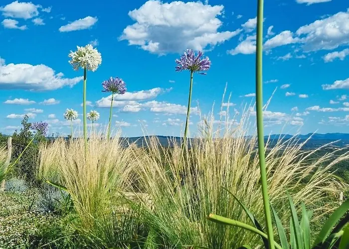 La Gualda Vecchia Alloggi Di Charme Immersi Nel Giardino Emozionale, Extra Outdoor アパート