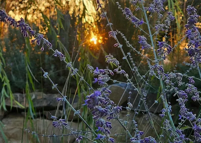 アパート La Gualda Vecchia Alloggi Di Charme Immersi Nel Giardino Emozionale, Extra Outdoor *
