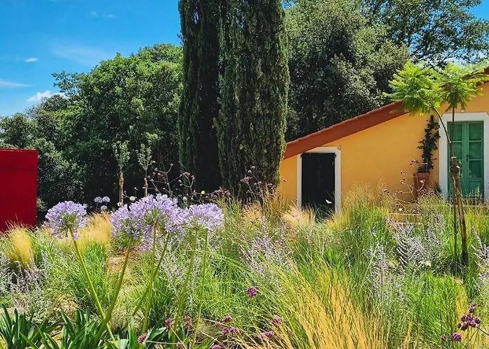 La Gualda Vecchia Alloggi Di Charme Immersi Nel Giardino Emozionale, Extra Outdoor * モンテヴェルディ・マリッティモ